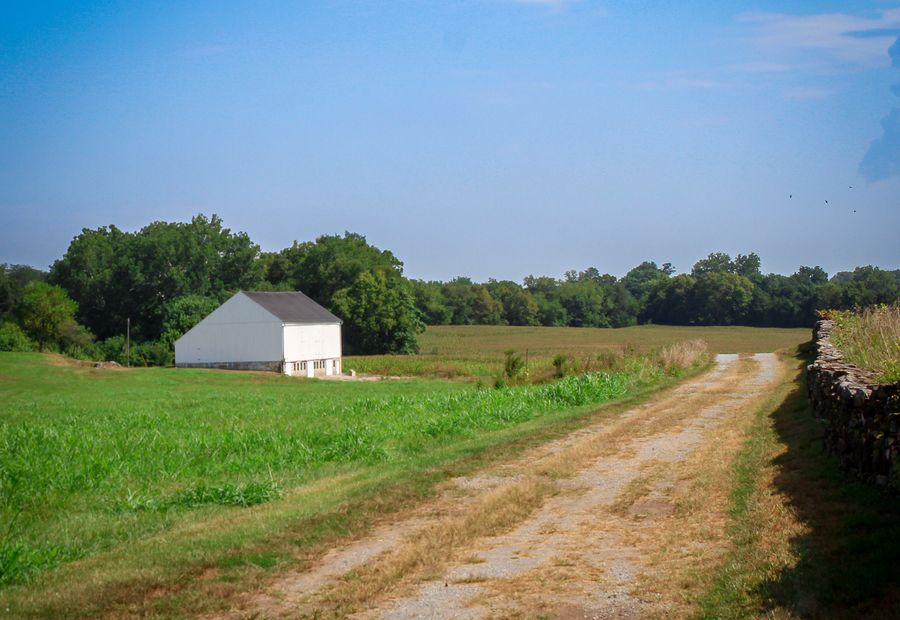 Farm lane running past a white barn into an open hay field
